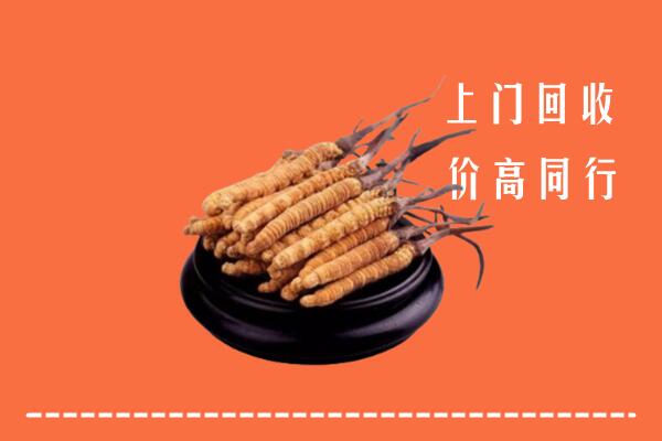 高价求购：保山市施甸县回收散虫草