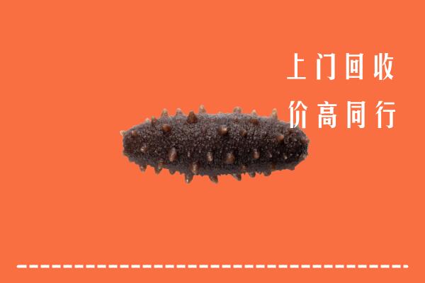 高价求购：保山市施甸县回收海参
