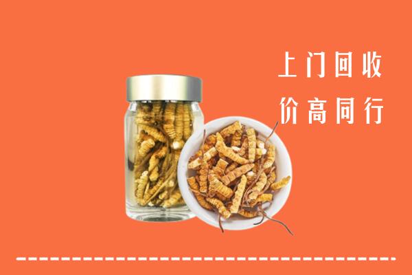 保山市施甸县回收冬虫夏草