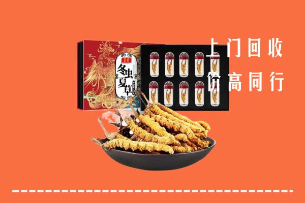 保山市施甸县回收虫草